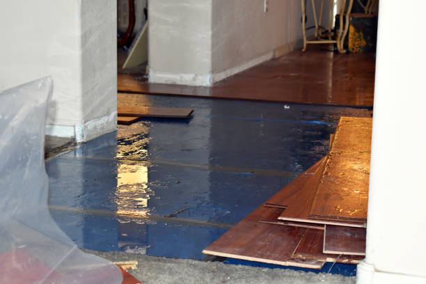 Professional Basement Flood Cleanup technician working in Lexington, OH